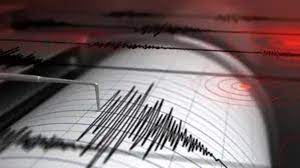 Earthquake Alert: After Myanmar, Experts Warn - India Could Be Next 1 Earthquake Alert